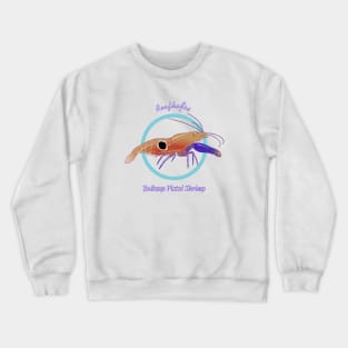 Bullseye Pistol Shrimp Crewneck Sweatshirt